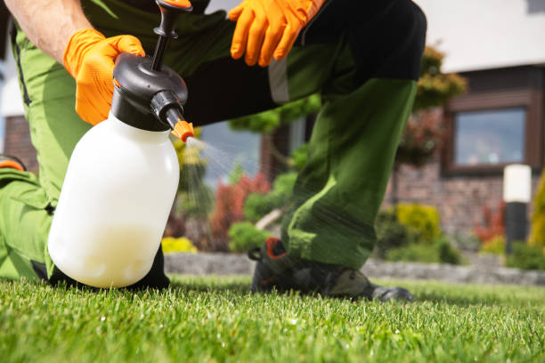 Best Pest Prevention Services  in Mequon, WI