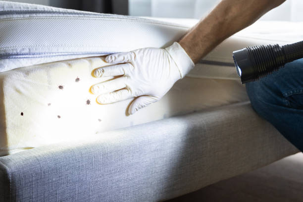 Best Pest Control Near Me  in Mequon, WI