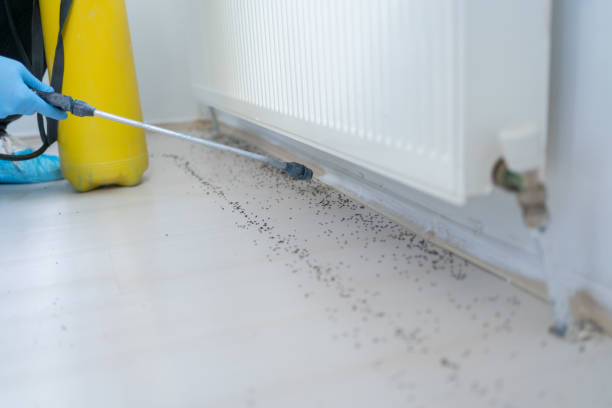 Reliable Mequon, WI Pest Control Solutions