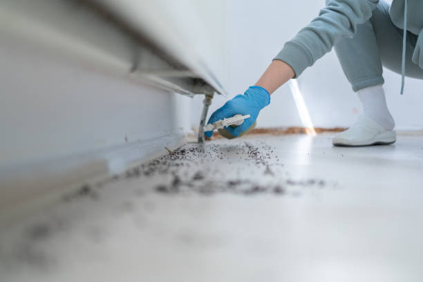 Best Emergency Pest Control  in Mequon, WI